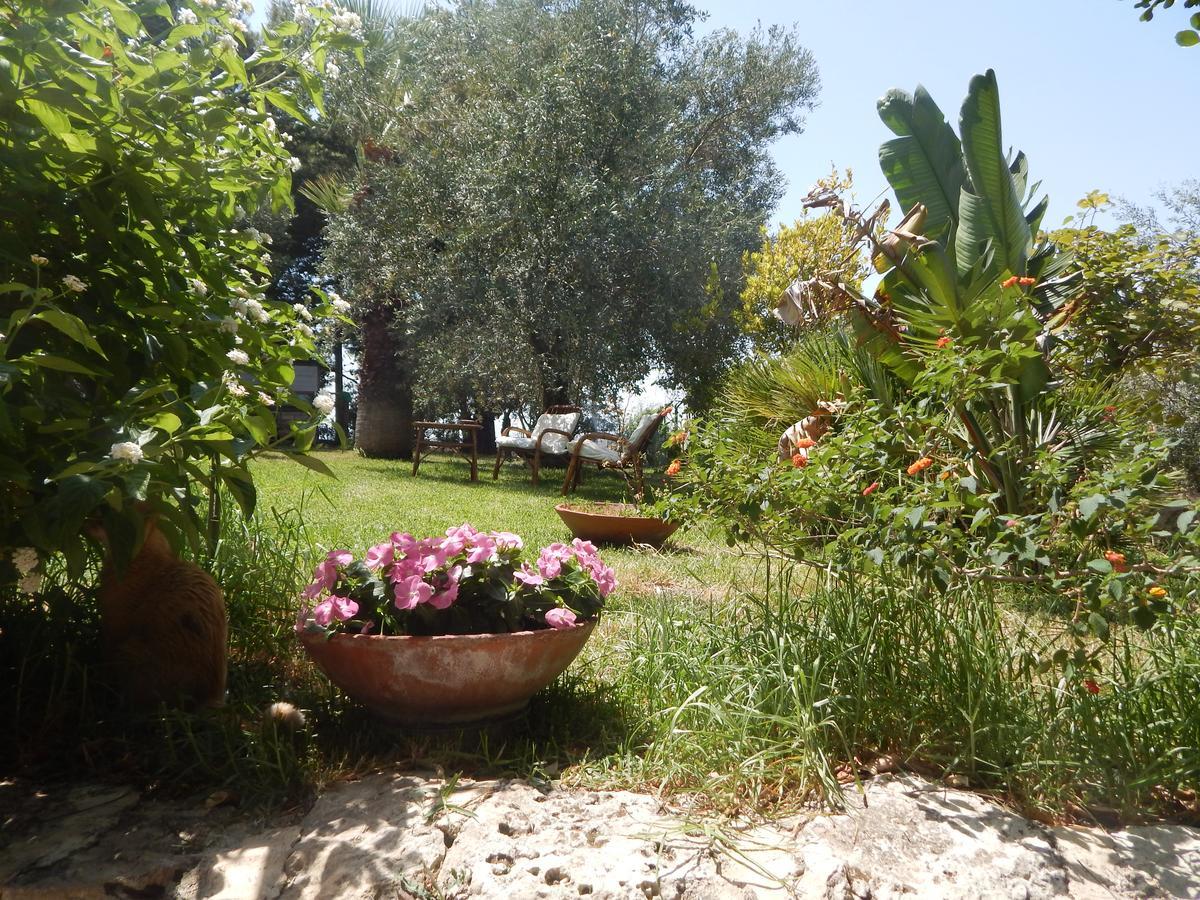 Villa Azzurra San Corrado di Fuori Eksteriør billede